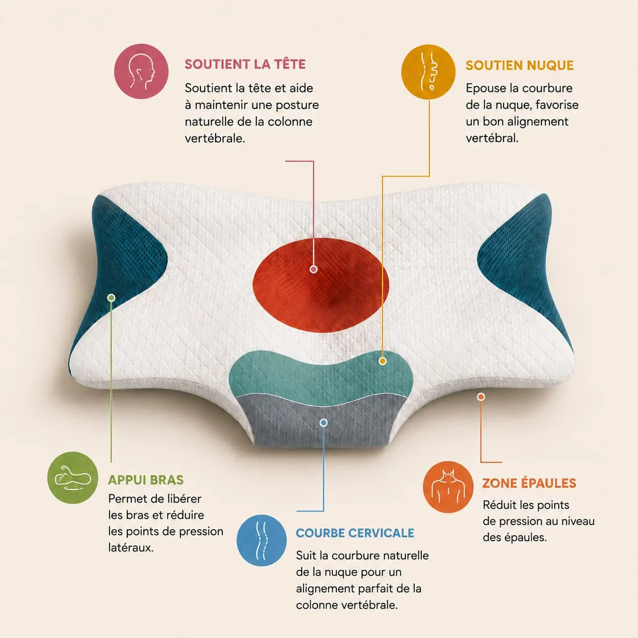 explication des zones de découpage ergonomique Image